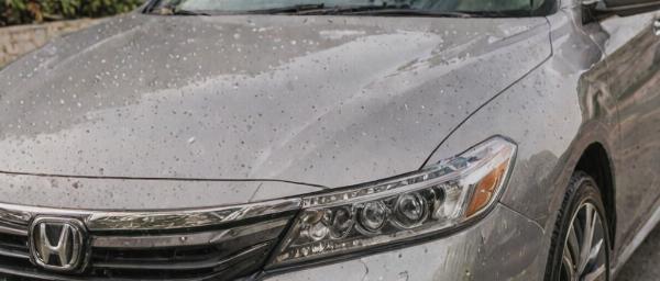 Sedan paint refresh and clear coat