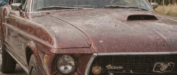 Classic car complete paint restoration