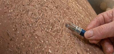 Paint touch-up service